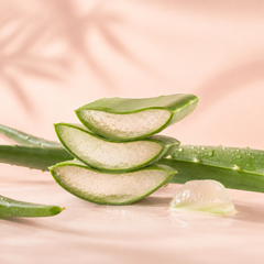 Aloe vera ingredient